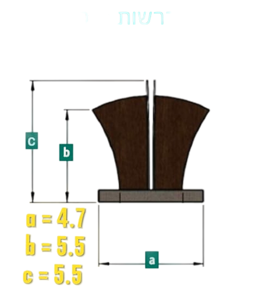 מברשת 5 סנפיר