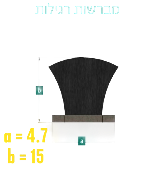 מברשת 5 – 1500