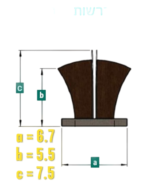 מברשת 7 סנפיר